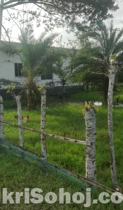 আবাসিক জমি